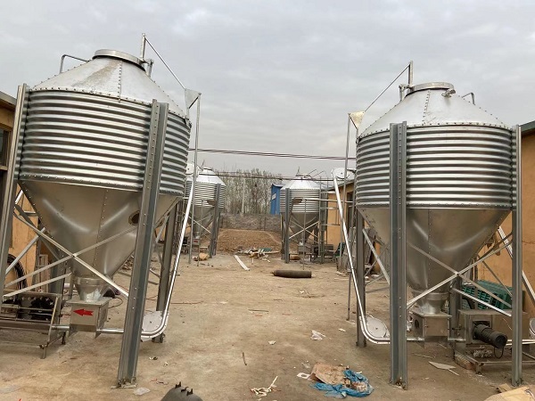 料塔廠家向大家講解豬群的應激反應！